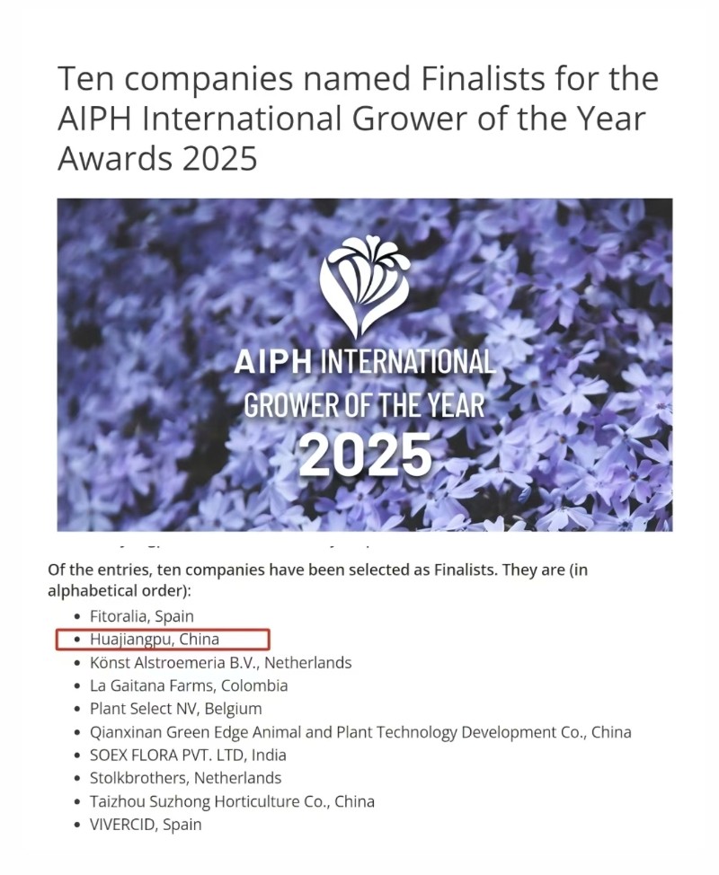 1733187899970034440.jpg 1732681936300-ys.jpg